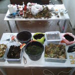 Reflections on Soil Future(s), Past(s) and Present(s)